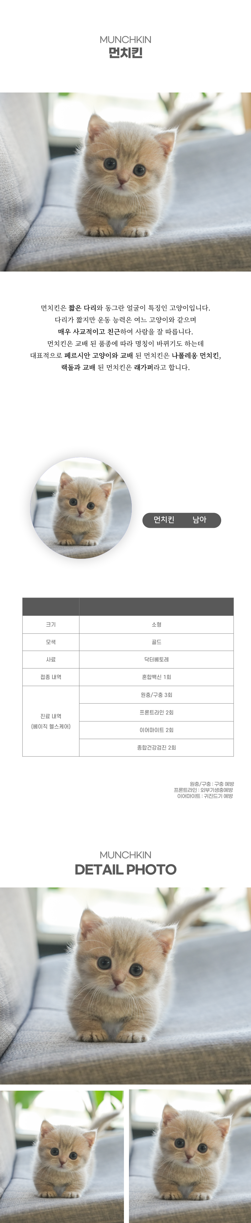 먼치킨_상세이미지_2